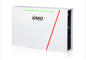Li-Pack Battery 51,2V 200Ah (LiFePo4)
