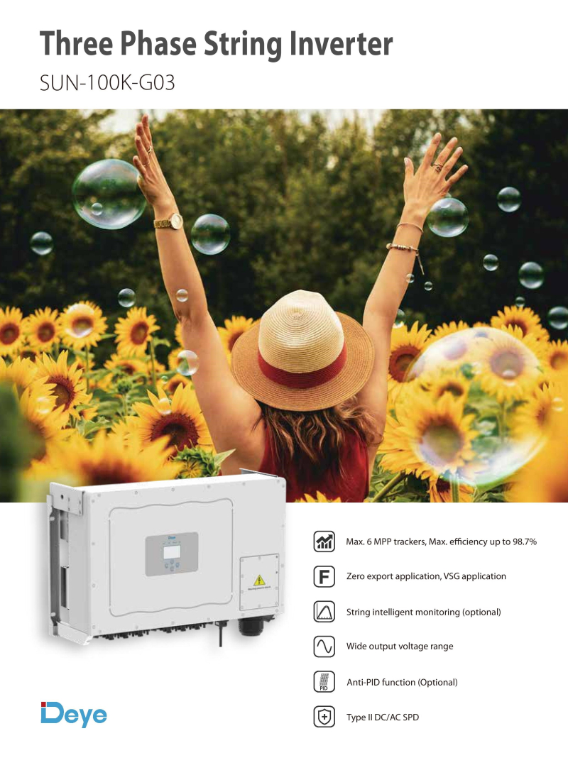 PV Inverter SUN-100K-G03 - 1