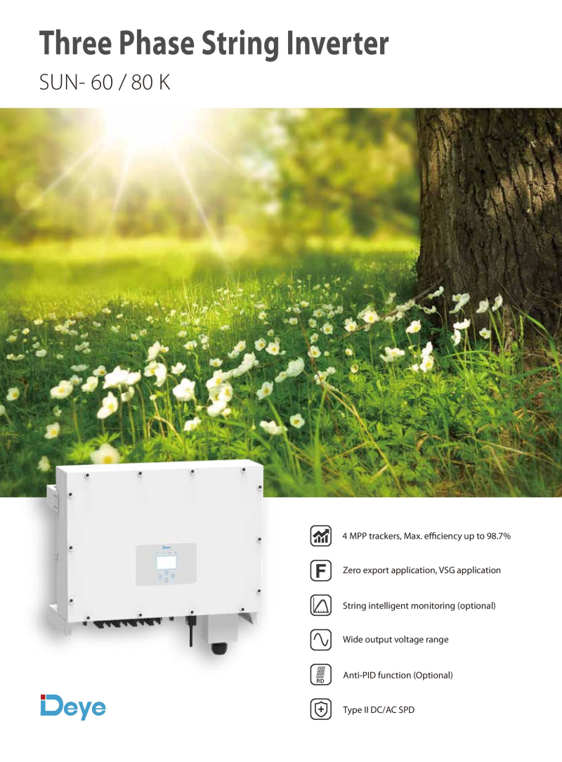 PV Inverter SUN-60K-G03 - 1