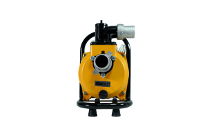 Solar Surface Pump SFP20-17-1100W/96V