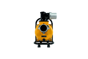Solar Surface Pump SFP29-13-1500W/110V