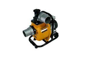Solar Surface Pump SFP29-13-1500W/110V