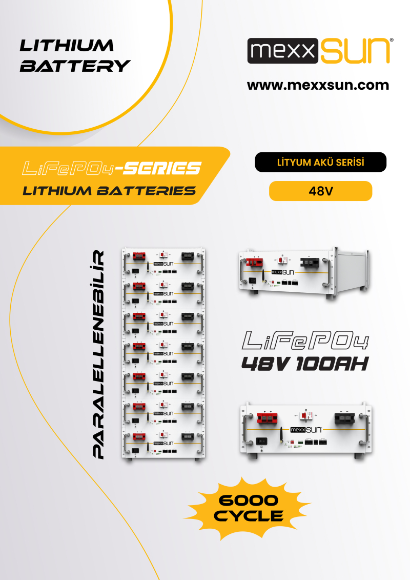 Mexxsun LiFePo4 Battery Module - 1