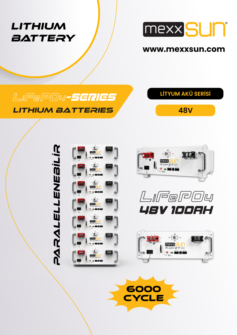 Mexxsun LiFePo4 Battery Module - 1